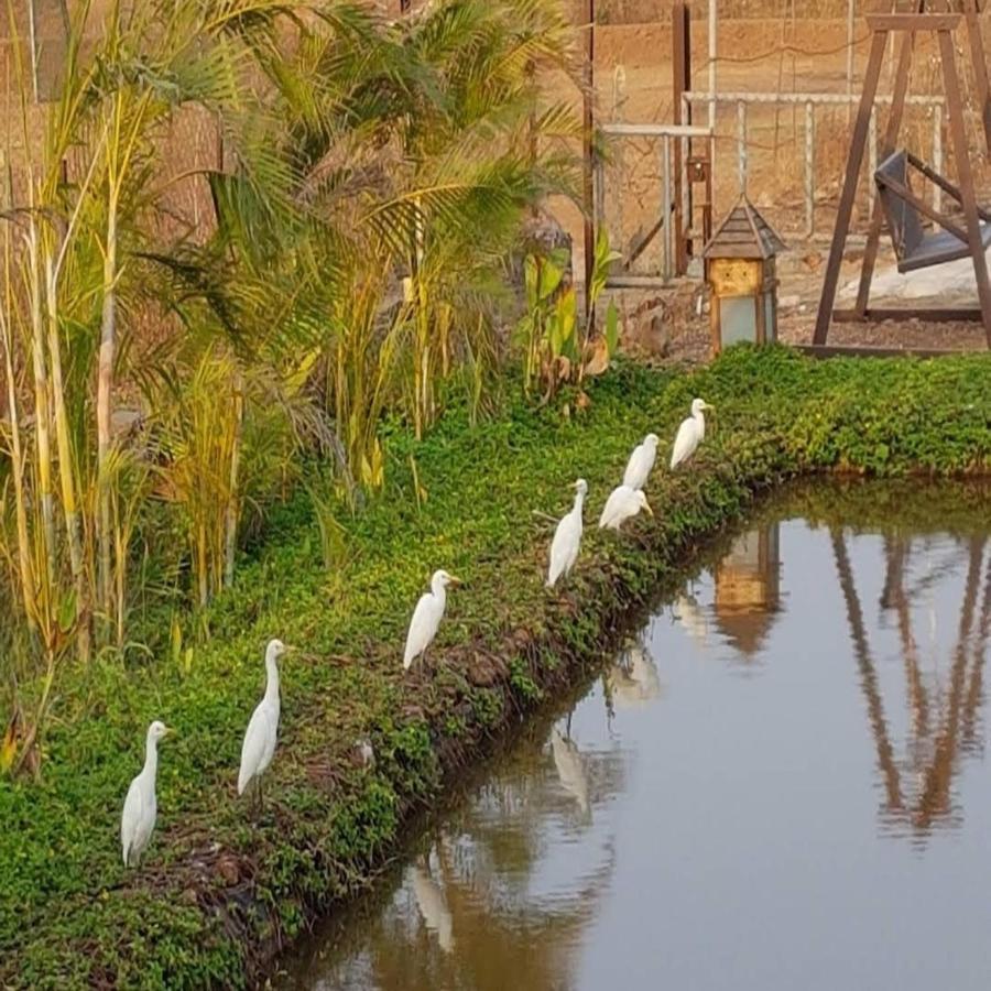 Exotica Beach Retreats ดิเวเอการ์ ภายนอก รูปภาพ